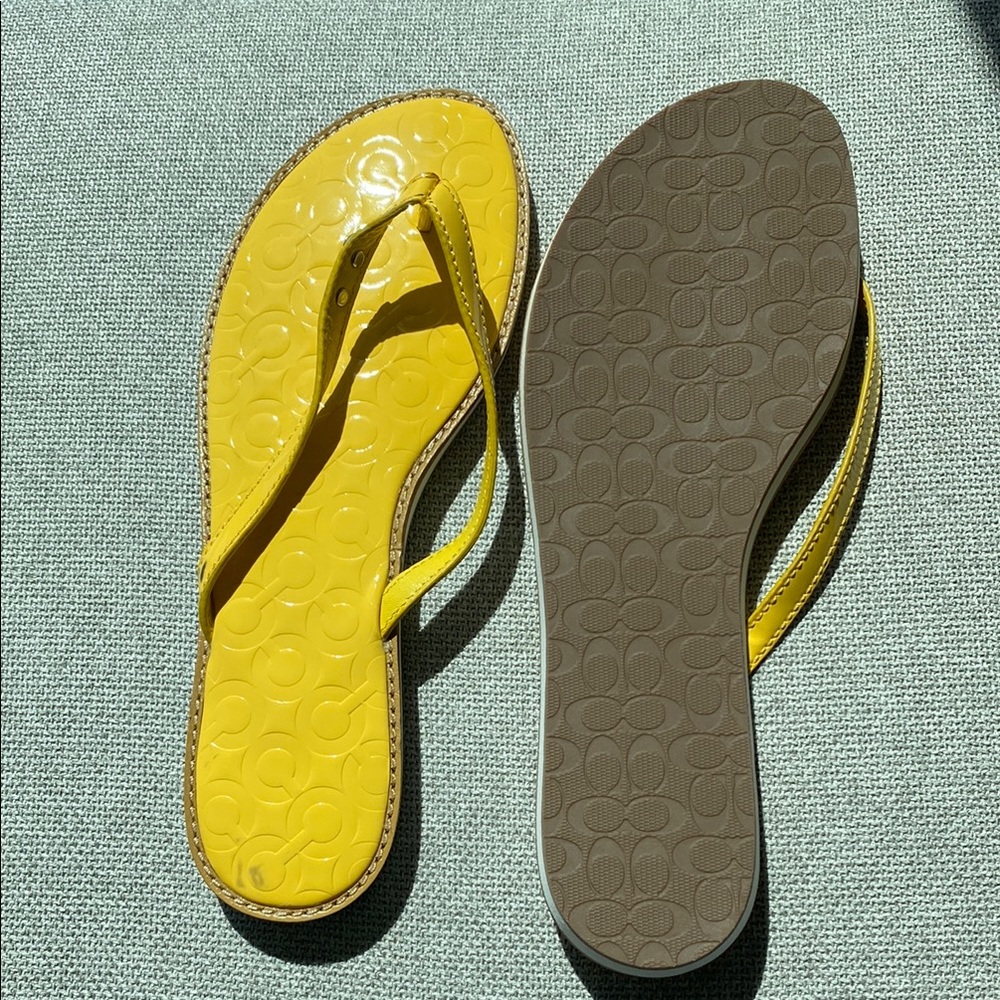 Coach Yellow and Brown Sandals